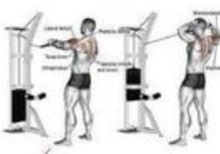 cable rope rear delt rows