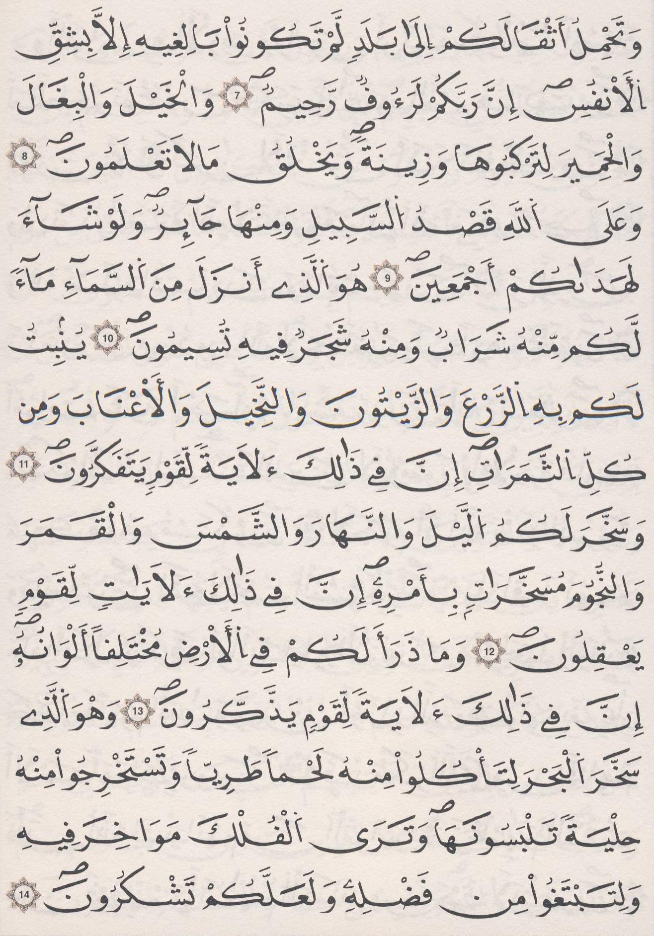 مصحف الداني - صفحة 268