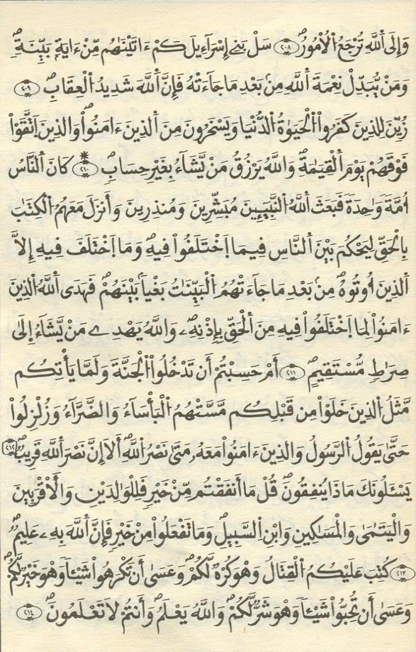 مصحف الخراز - صفحة 29