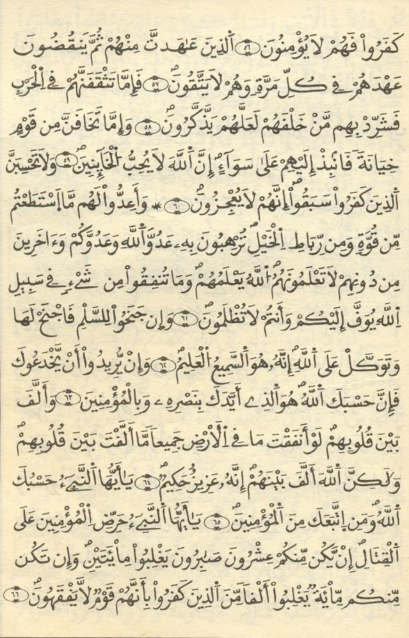 مصحف الخراز - صفحة 151