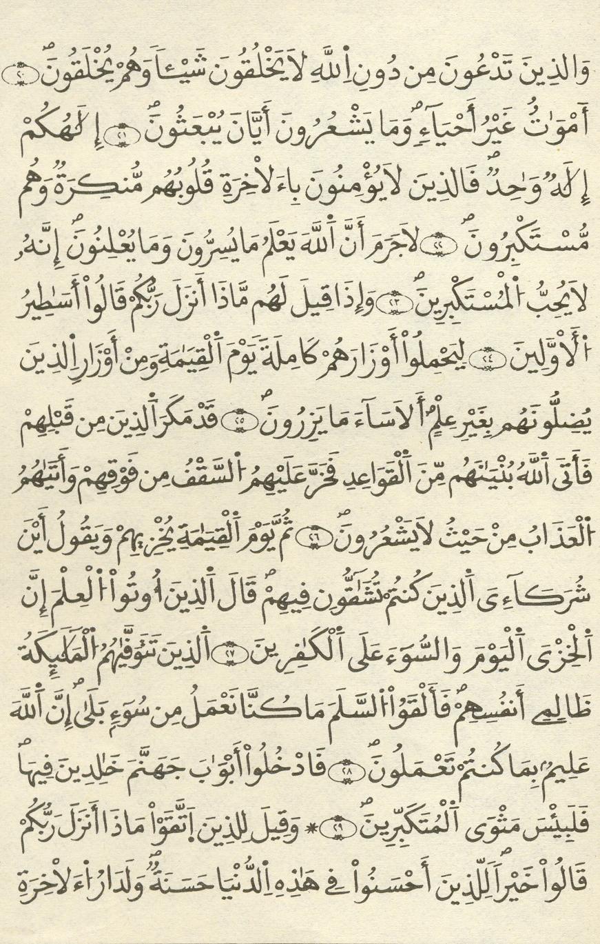 مصحف الخراز - صفحة 223