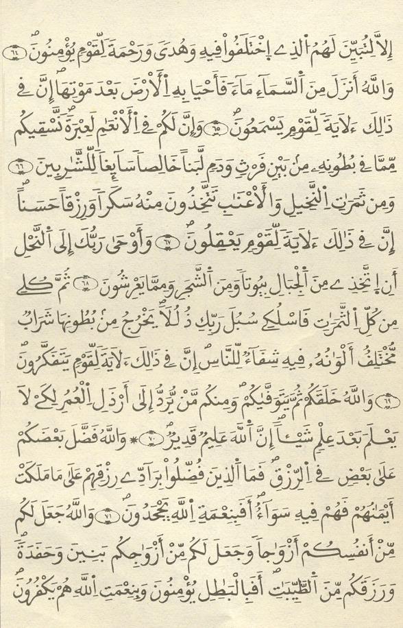 مصحف الخراز - صفحة 227