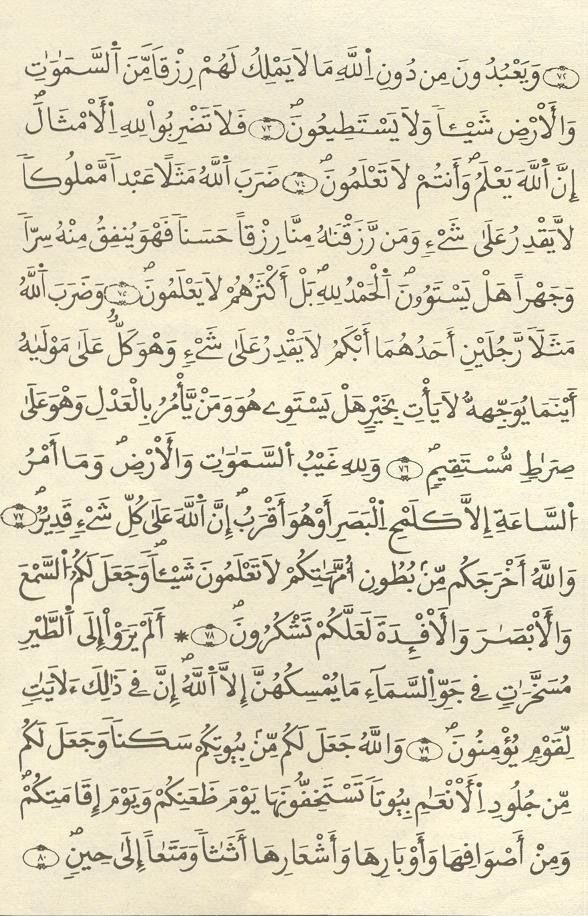 مصحف الخراز - صفحة 228