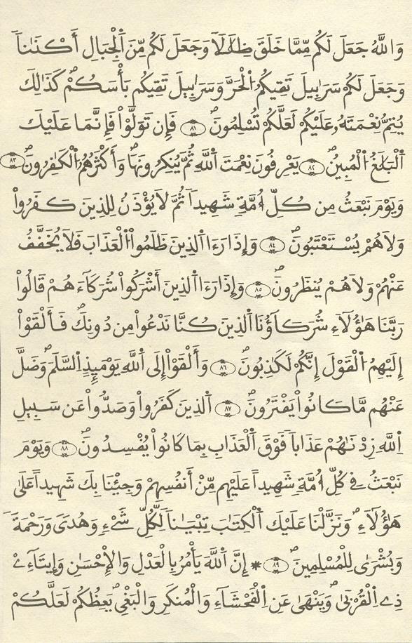 مصحف الخراز - صفحة 229