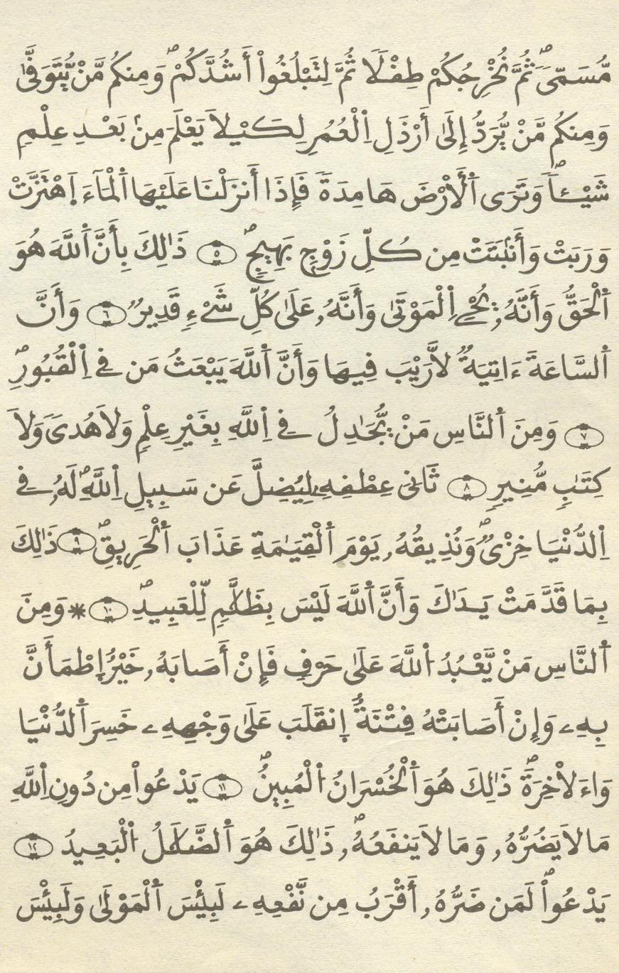 مصحف الخراز - صفحة 281