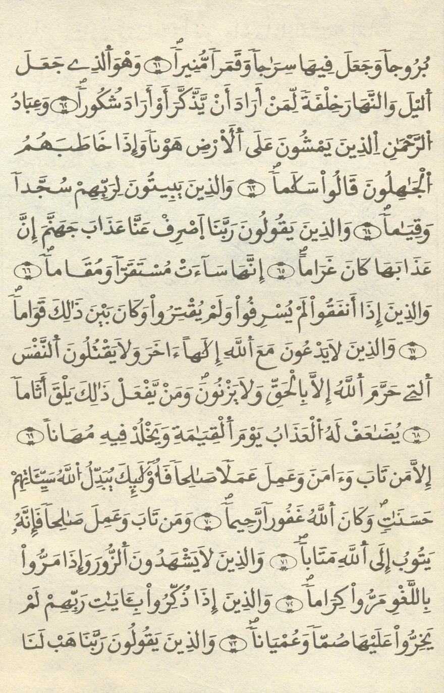 مصحف الخراز - صفحة 313