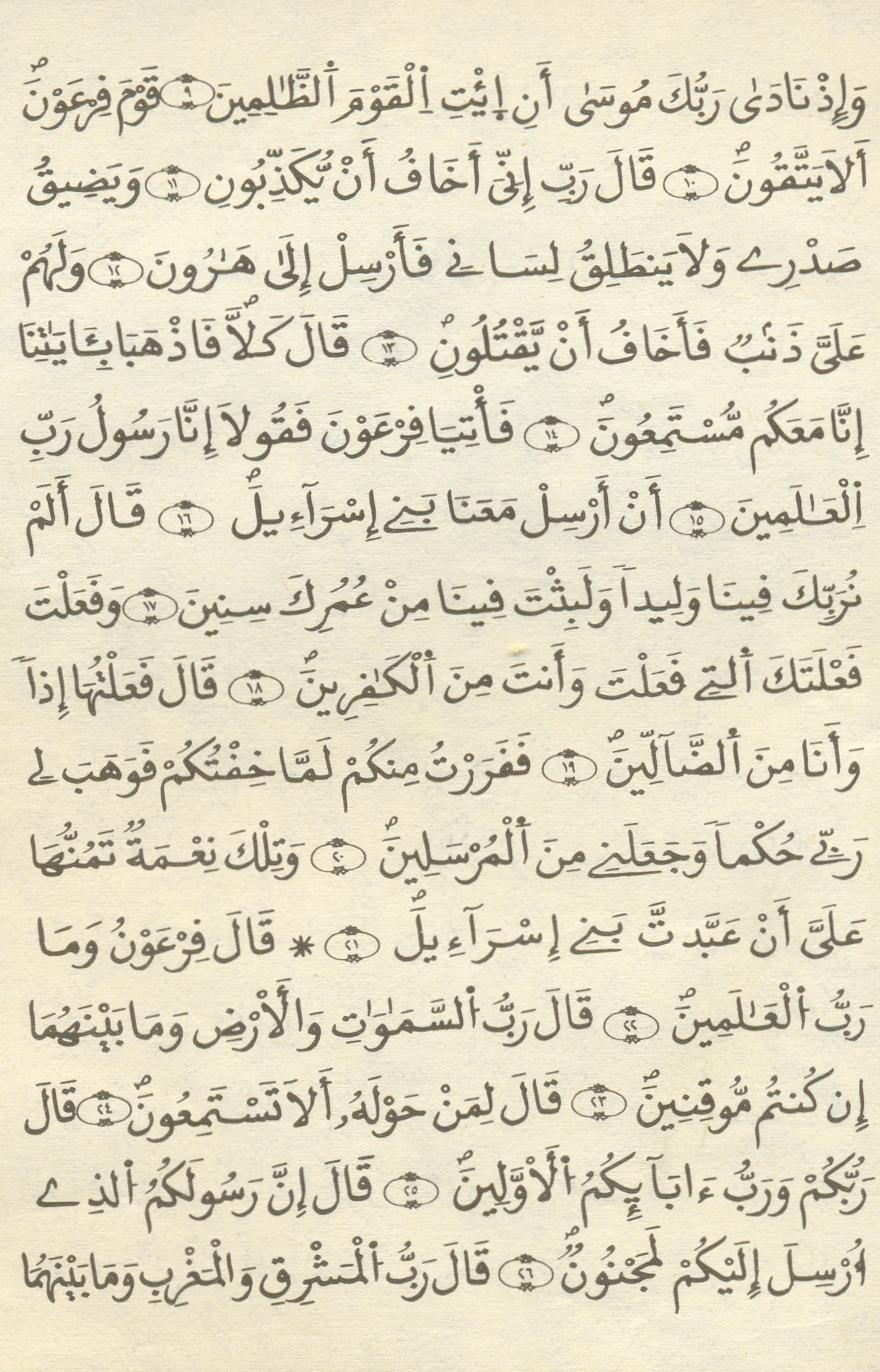 مصحف الخراز - صفحة 315