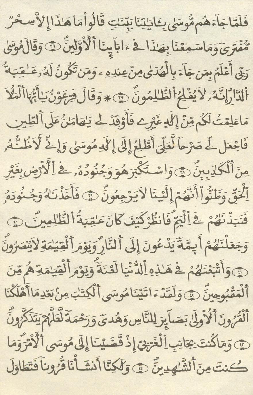 مصحف الخراز - صفحة 338