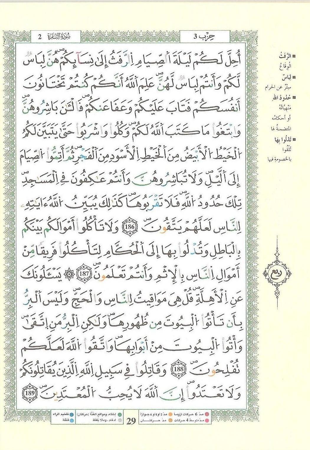مصحف التجويد - صفحة 29