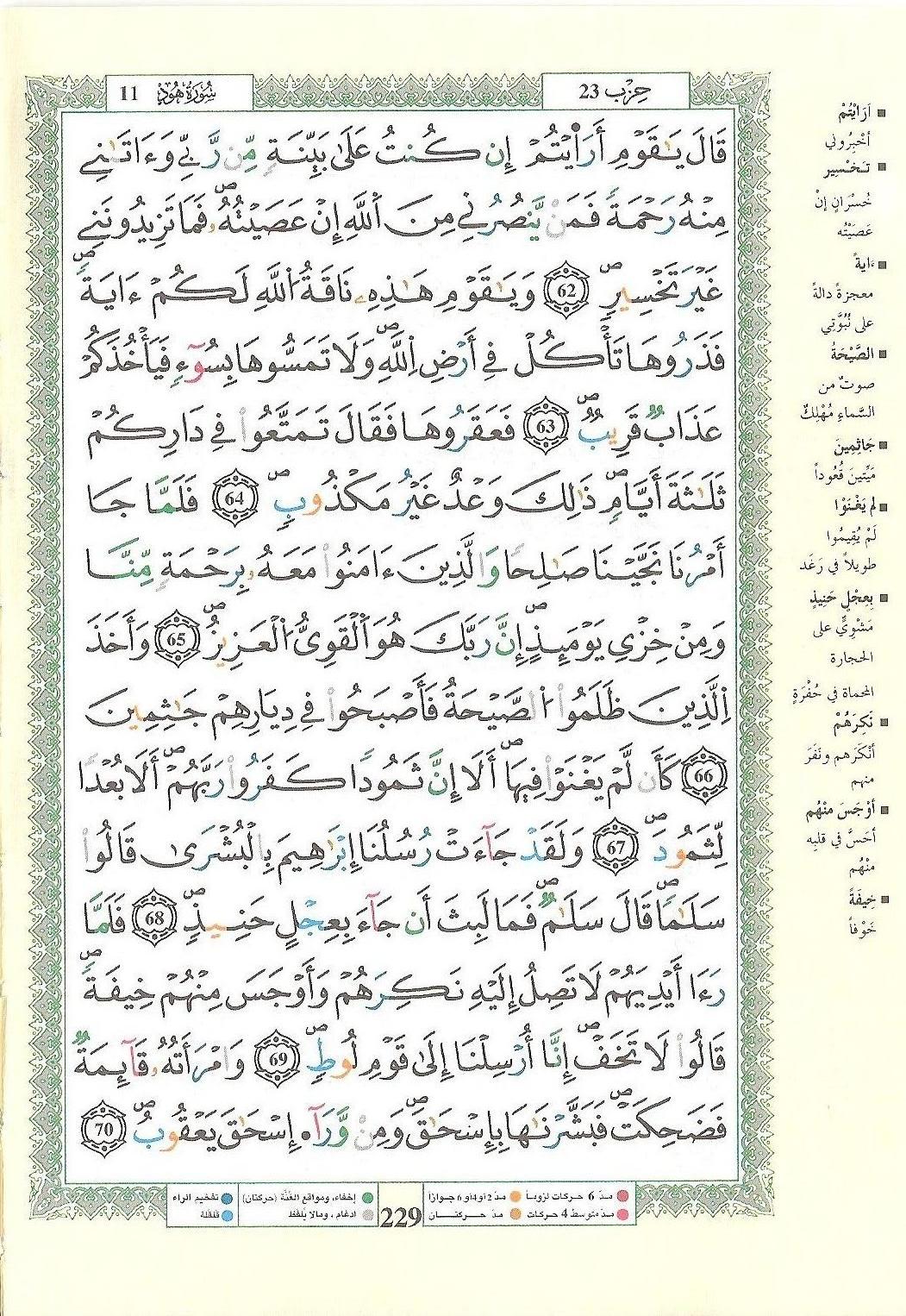 مصحف التجويد - صفحة 229