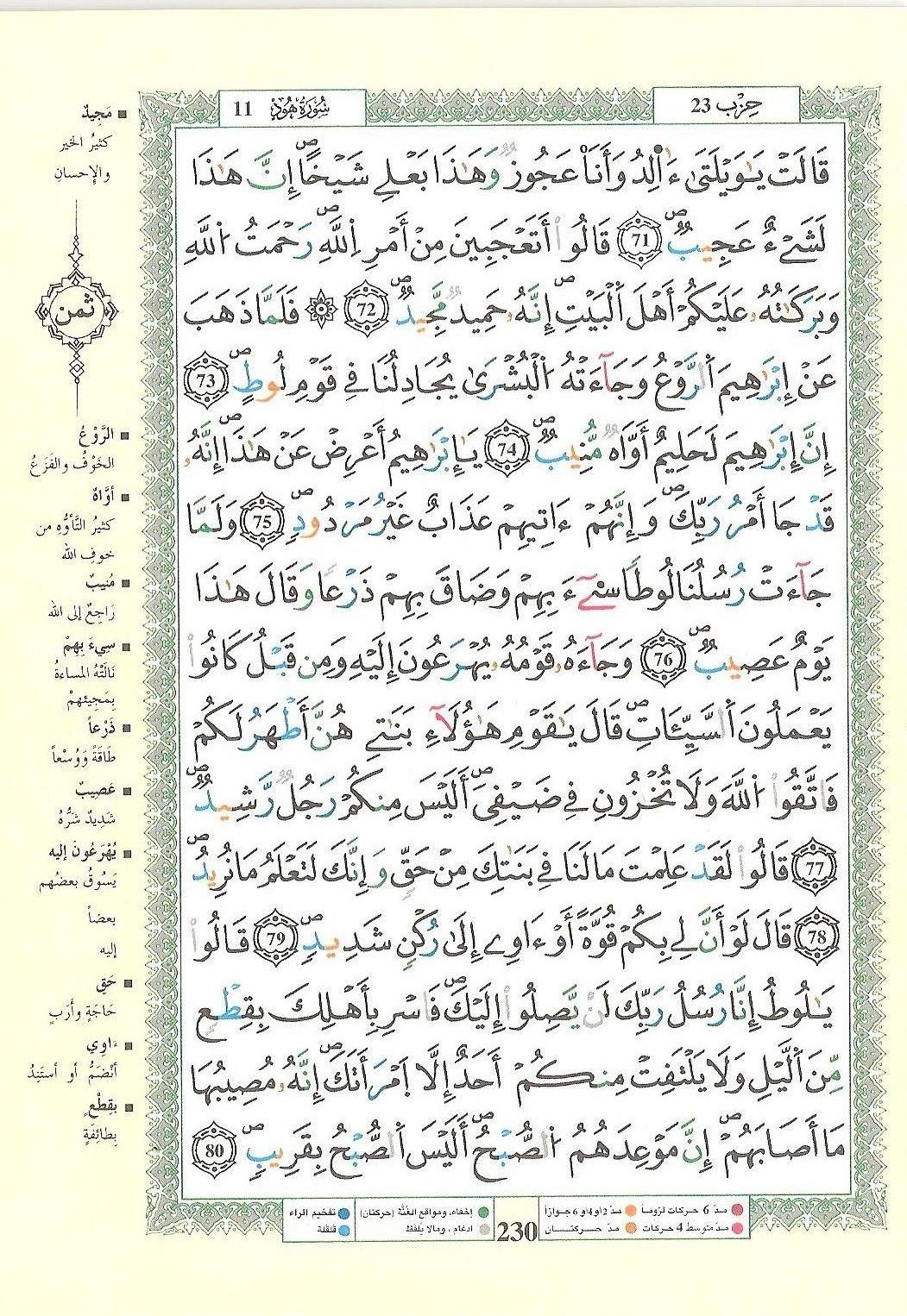 مصحف التجويد - صفحة 230