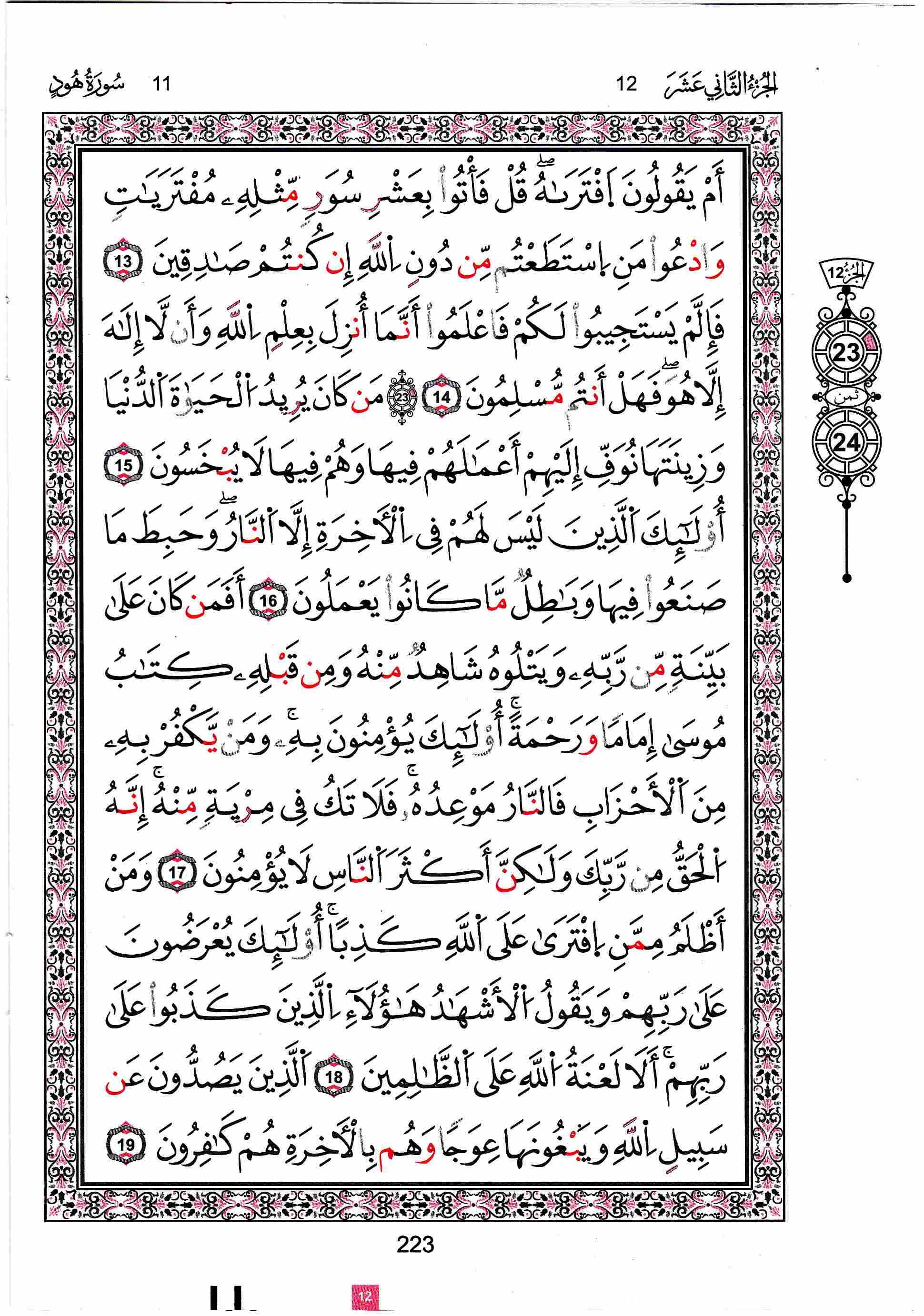 مصحف تونس - صفحة 223