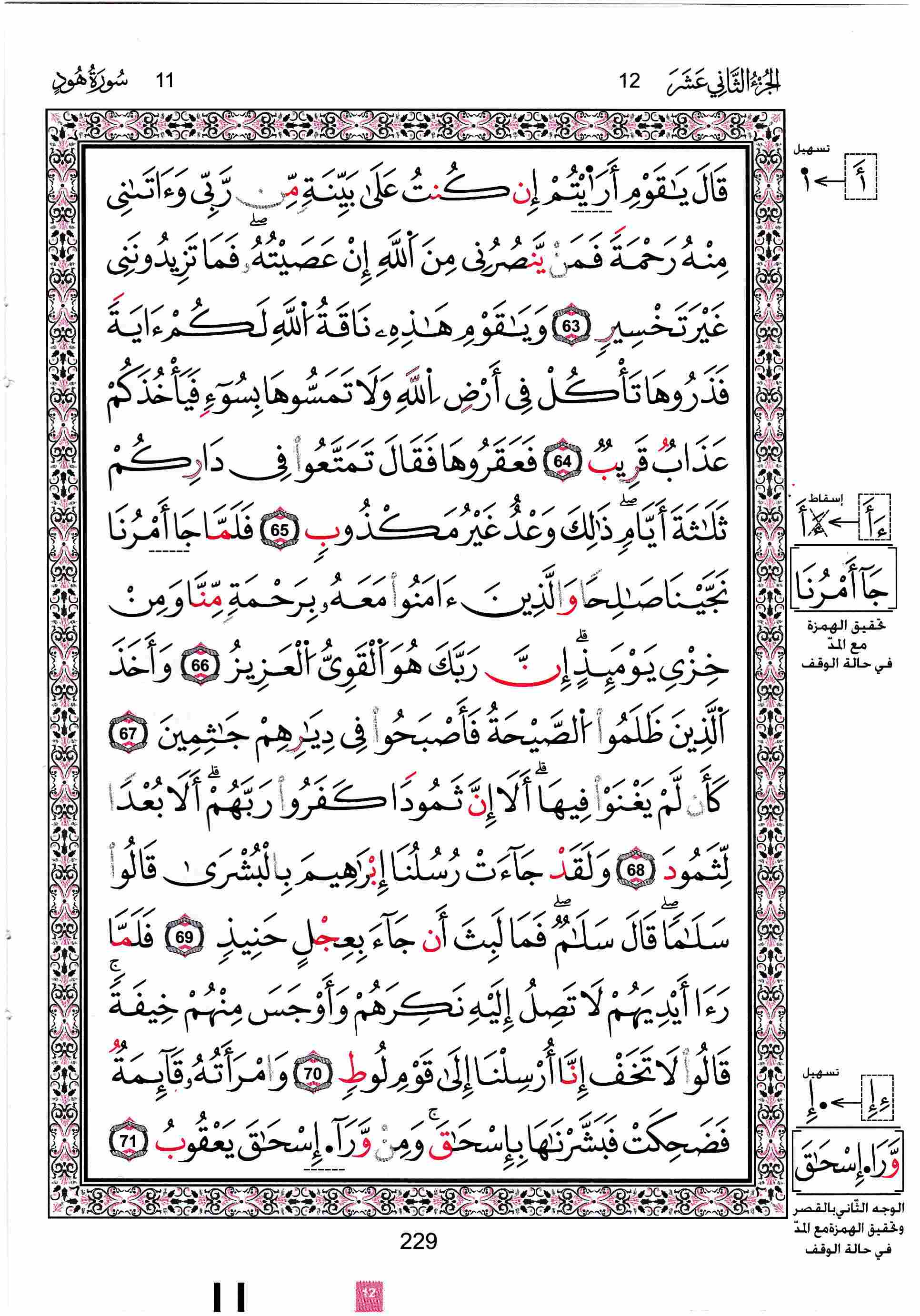 مصحف تونس - صفحة 229